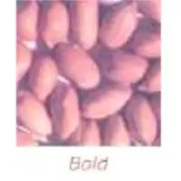 Peanut Kernel